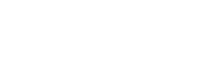 Logo consvip nexa