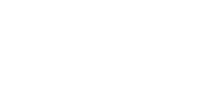 logo-consvip-nexa